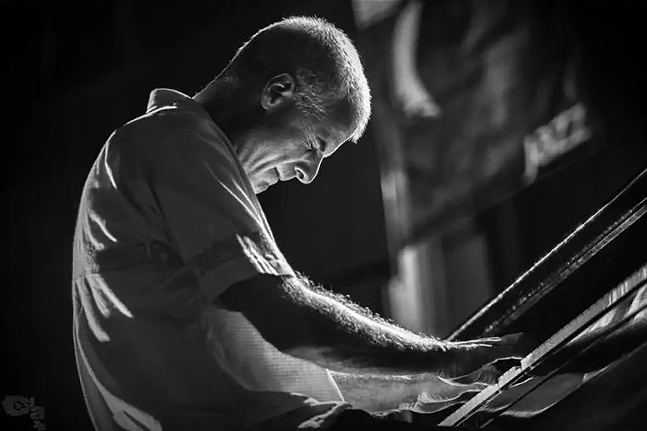 Archivo de Conciertos